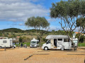 Silves_21216_2.jpg