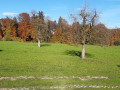 Alpnach_26539 (3).jpg
