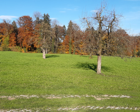 Alpnach_26539 (3).jpg